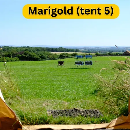 Freespirit Glamping * York