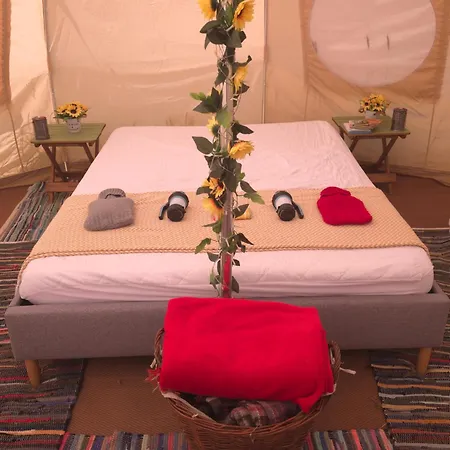 Freespirit Glamping 约克